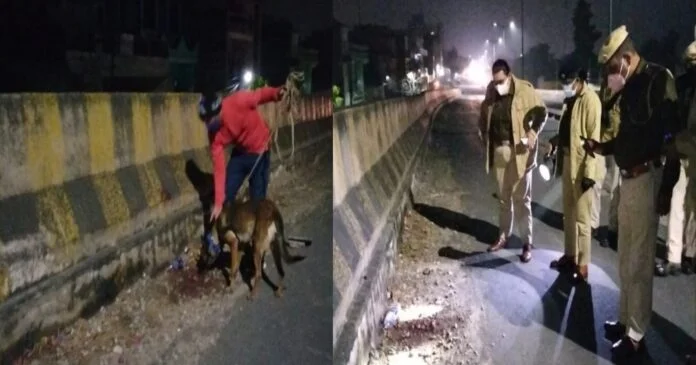 Brutal rape case in Alwar with a minor fifteen years old girl Brutal rape case in Alwar with a minor fifteen years old girl