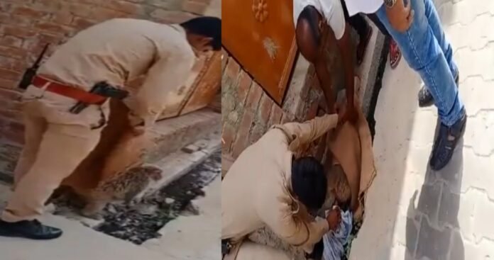 Policeman pulled out dead child trapped in monkey's womb suffering from pain, video viral on social media