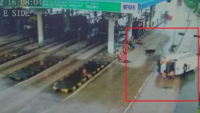 Ambulance collided in toll plaza to save cow, 3 people died