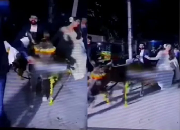 Entry of bride and groom on donkey cart, Viral video of Pakistani couple, you will be shocked to see Entry of bride and groom on donkey cart, Viral video of Pakistani couple, you will be shocked to see