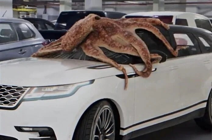 Octopus shatters car in less than 1 second, you will be forced to think after watching the video