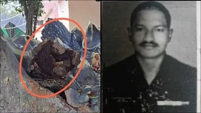 Lance Naik dies in bee attack, bee hive suddenly broke during night