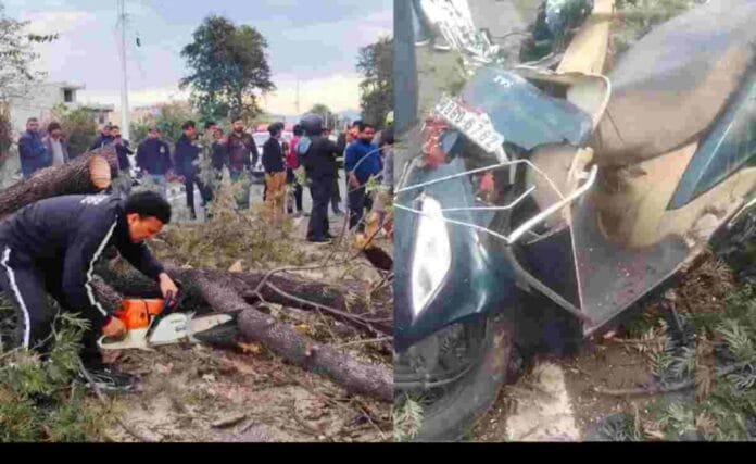 Two sisters were going on a scooty, a tree fell on them on the way, one of them lost his life