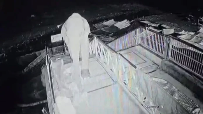Escaped from the forest and reached the bridge of Girija Temple, the elephant was caught on camera climbing the stairs at night. Escaped from the forest and reached the bridge of Girija Temple, the elephant was caught on camera climbing the stairs at night.