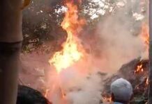 बरात की आतिशबाजी से जंगल में लगी आग, ग्रामीणों ने समय से बुझाई Fireworks from a wedding procession caused a forest fire, villagers extinguished it in time.