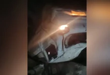 नंदप्रयाग घाट मार्ग पर खाई में गिरी कार, चालक की मौके पर हुई मौत Car falls into ditch on Nandprayag Ghat road, driver dies on the spot