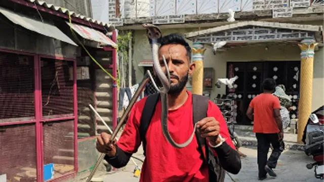 The name of one of the most dangerous snakes in India is Silent Killer. The name of one of the most dangerous snakes in India is Silent Killer.