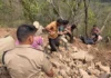 उत्तराखंड: डामर से भरा ट्रक खाई में गिरा, चालक की हुई मौत Truck loaded with asphalt falls into ditch, driver dies