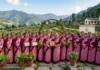 उत्तराखंड की 35 आंगनबाड़ी कार्यकर्ता बनीं उत्कृष्ट सेवाओं की रोल मॉडल, किया जाएगा सम्मानित 35 Anganwadi workers from Uttarakhand have become role models for outstanding service and will be felicitated.